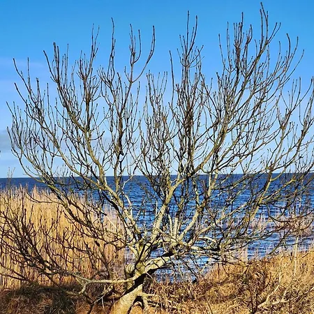 6 Person In Dom wakacyjny *